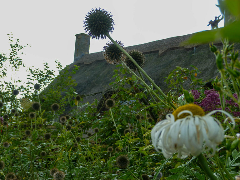 flower and thatched roof