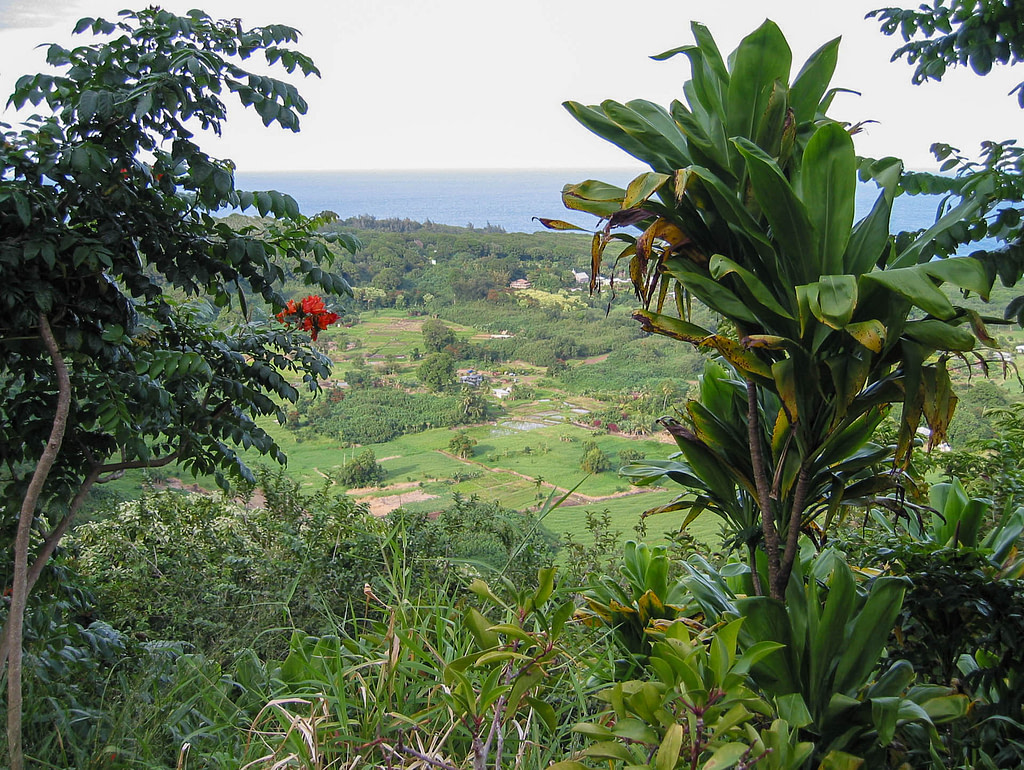 island overlook