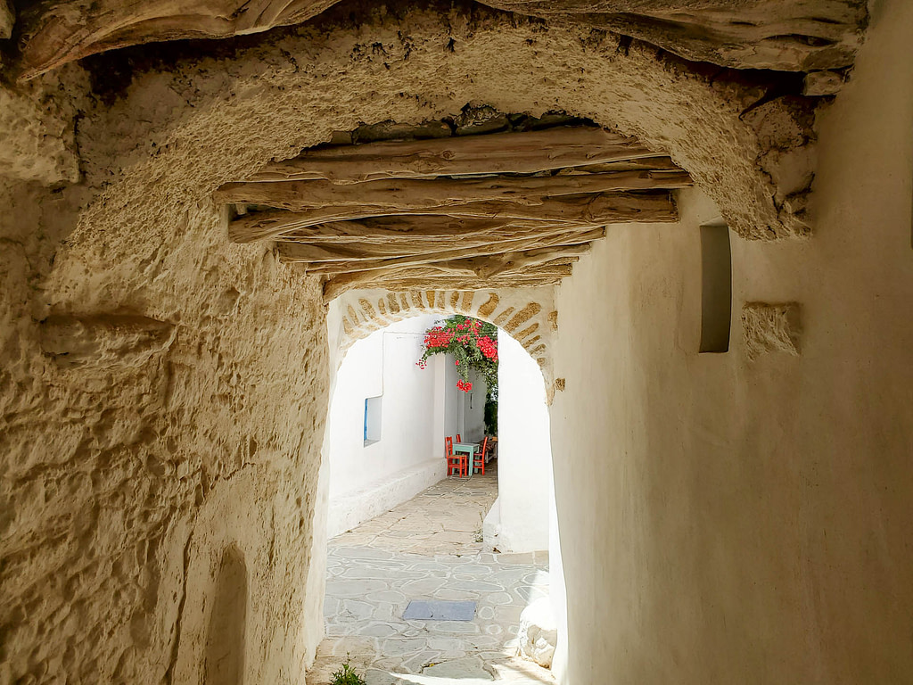 tunnel with flowers