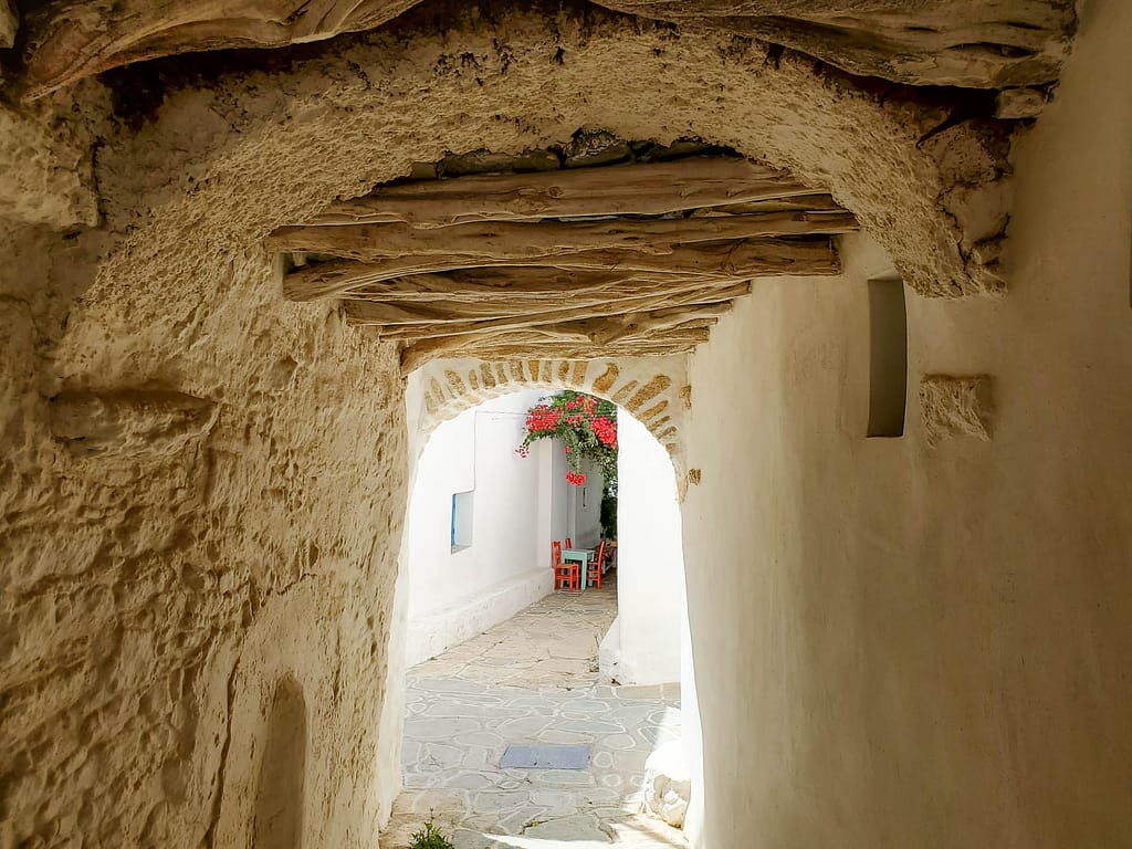 tunnel with flowers