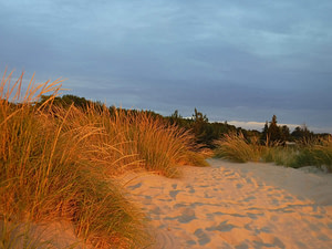 sunset on sand with grass