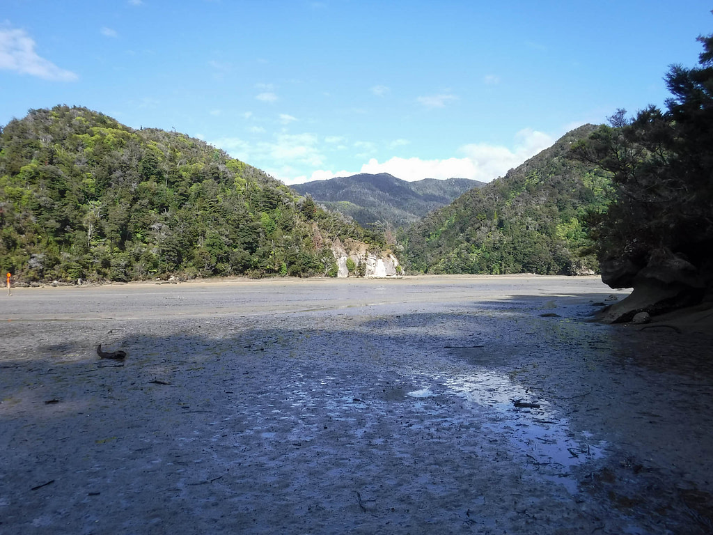 tidal flat