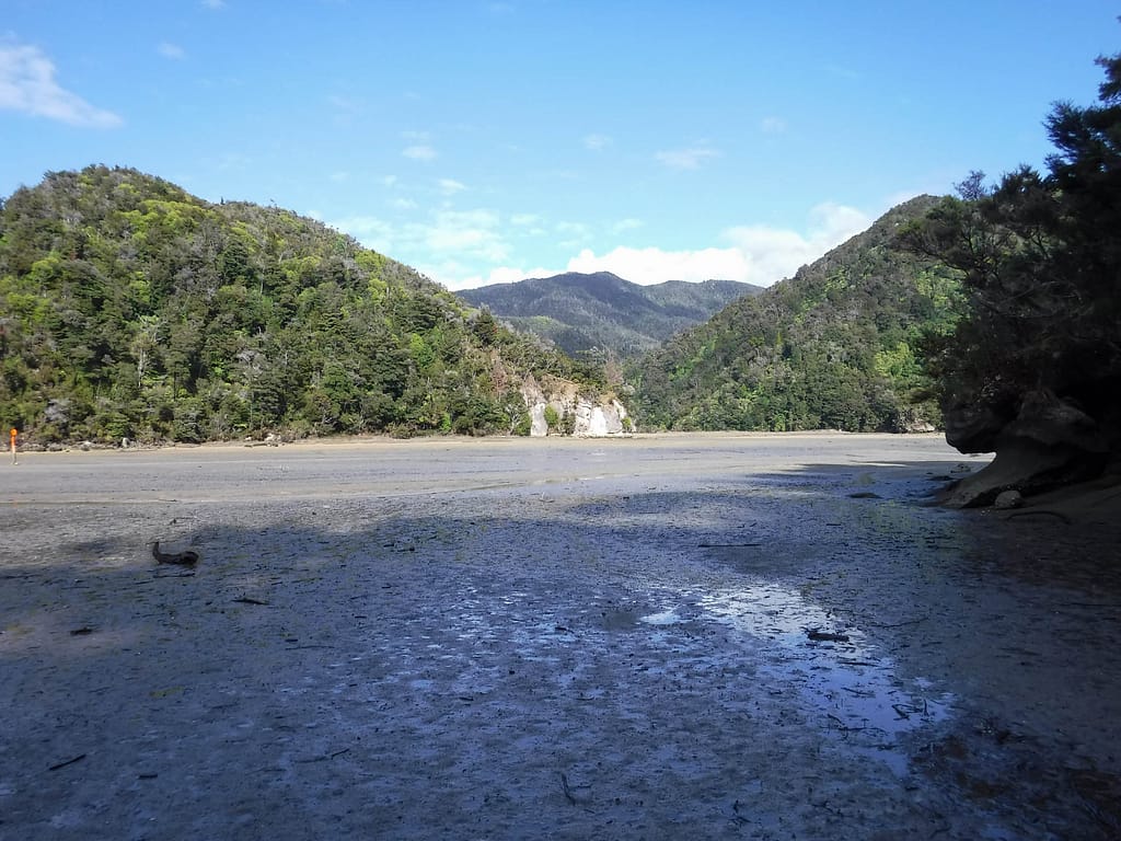 tidal flat