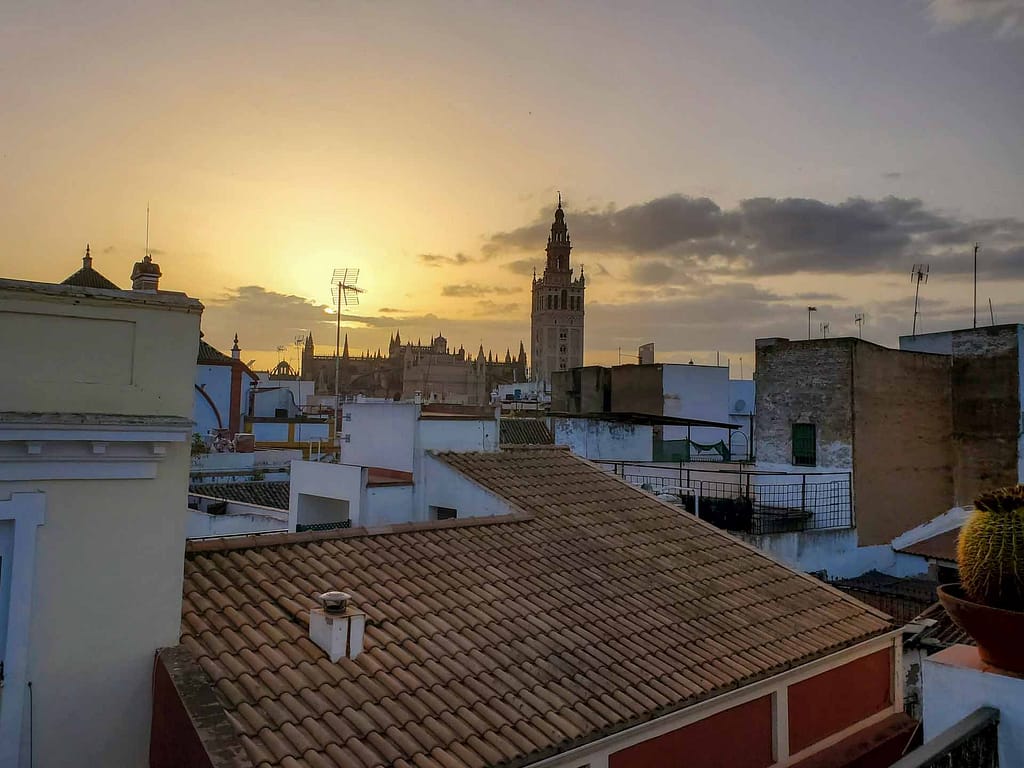 Seville cathedral from roof deck