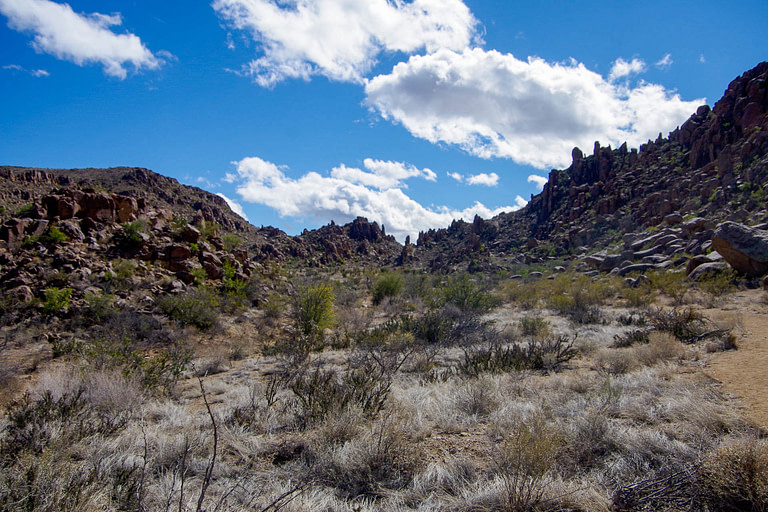 Grapevine Hills hike