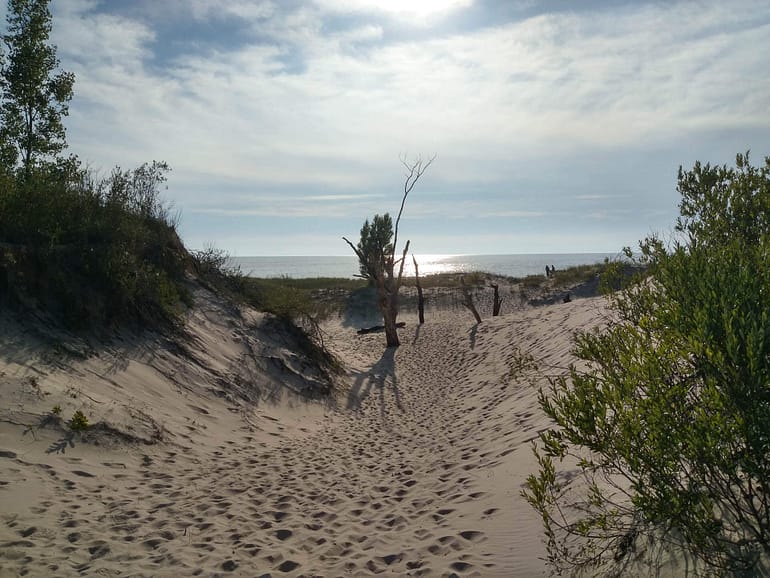 path through dunes