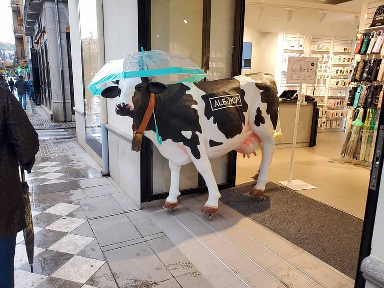 cow with umbrella