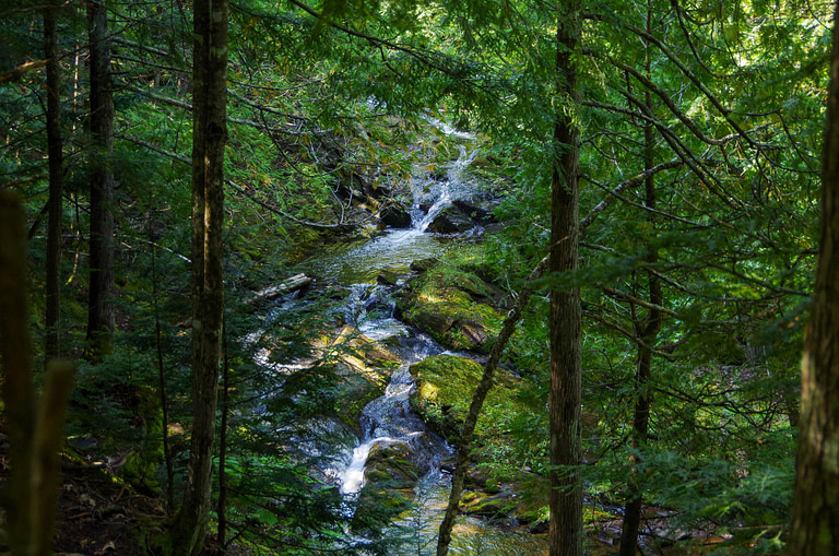 Union Mine trail