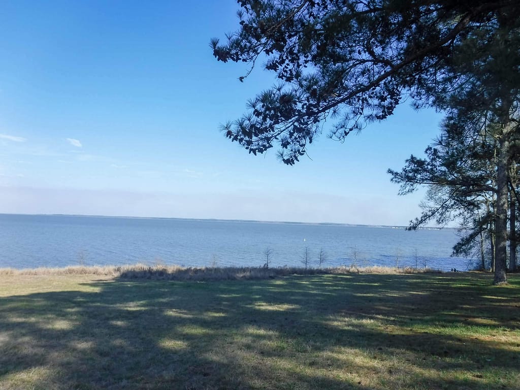 reservoir near Jackson