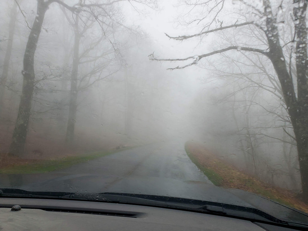 foggy road