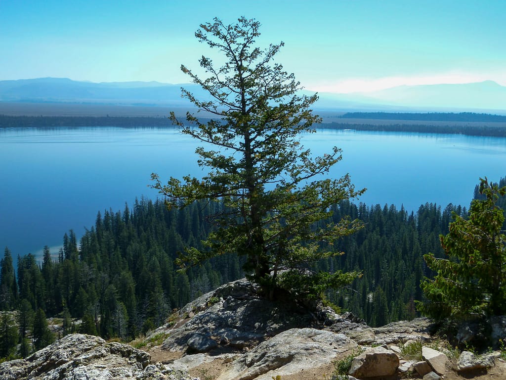 View from Inspiration Point