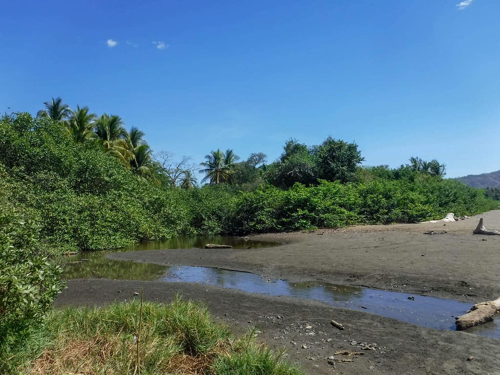 Playa Potrero