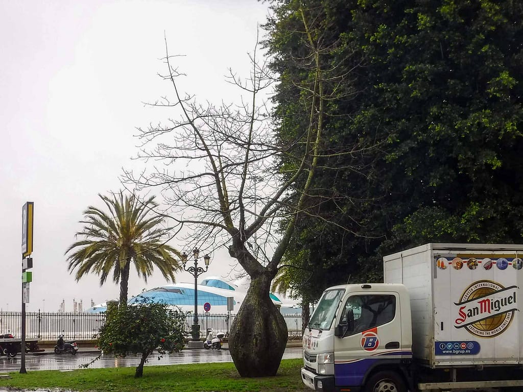 large yacht and strange treet