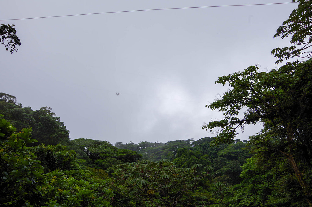zipliners