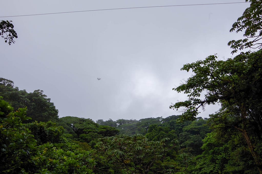 zipliners