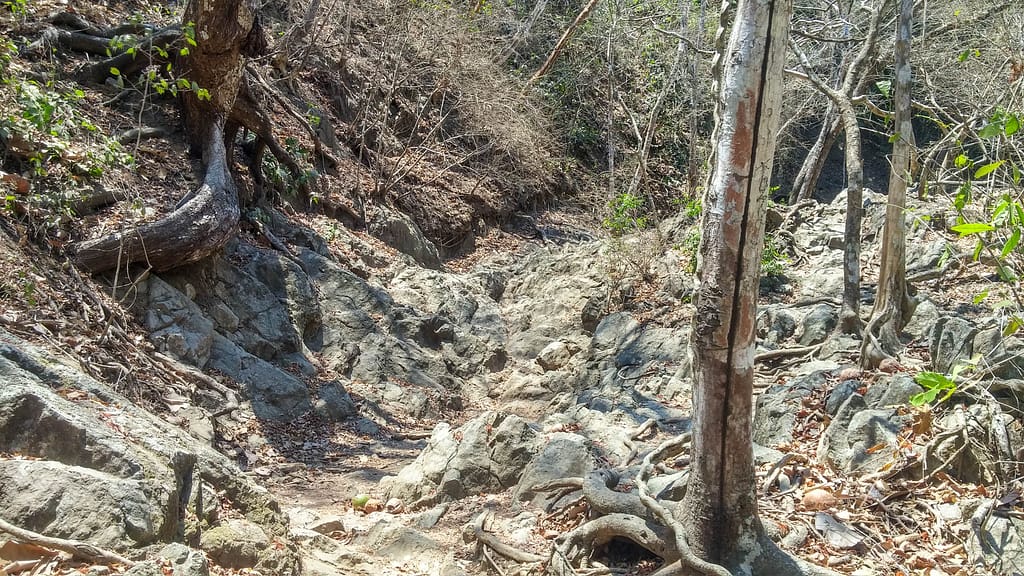 upper trail to falls