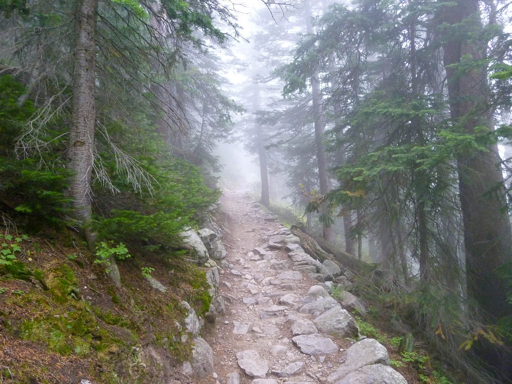 trail view