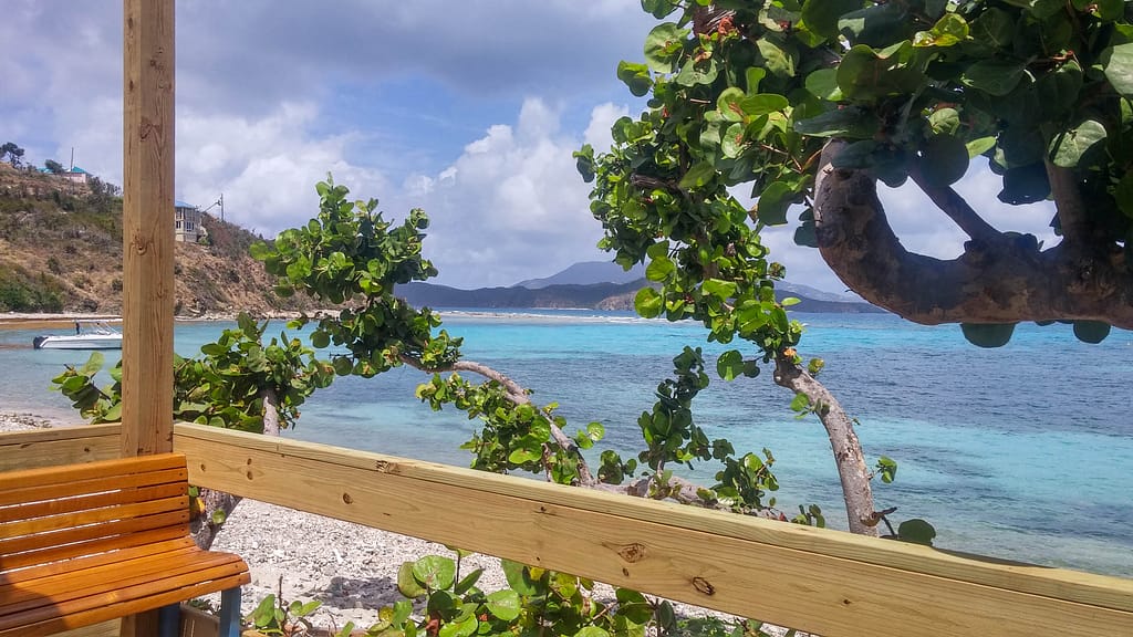 view from Miss Lucy's