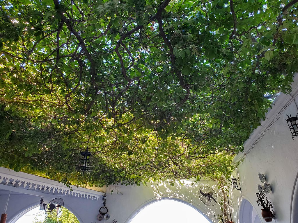 restaurant roof