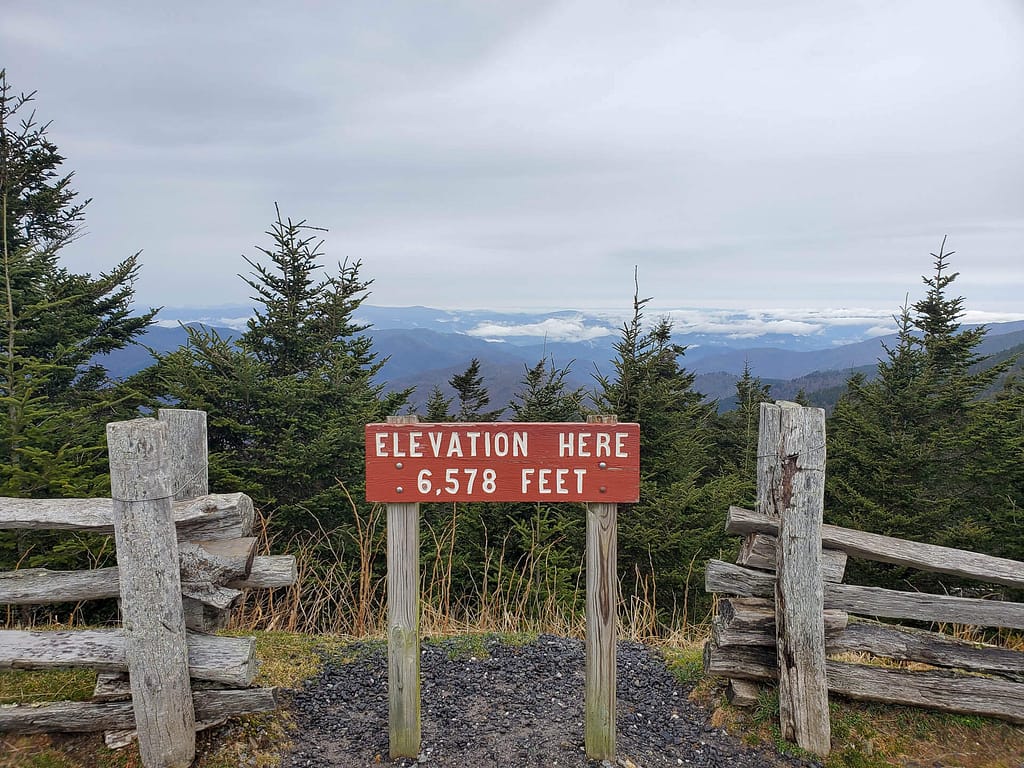 Mt Mitchell
