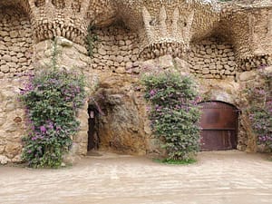plants growing against columns