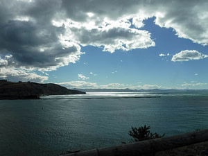 Otago peninsula