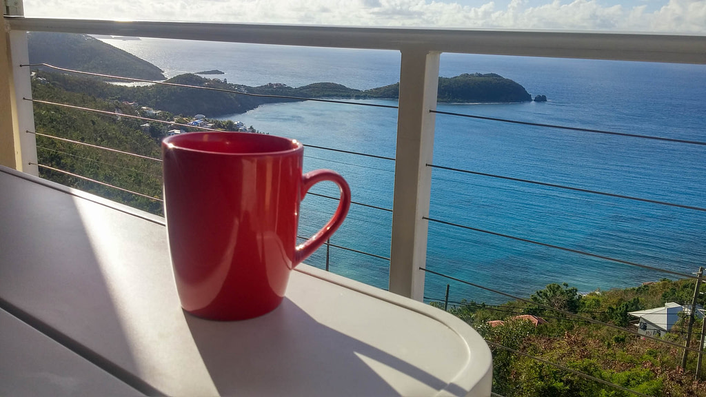 view with cup