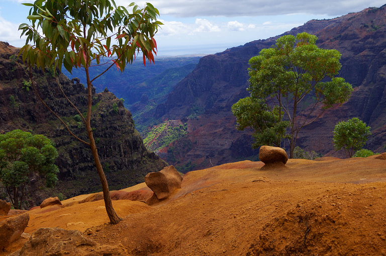 overlook into Waimea Canyon