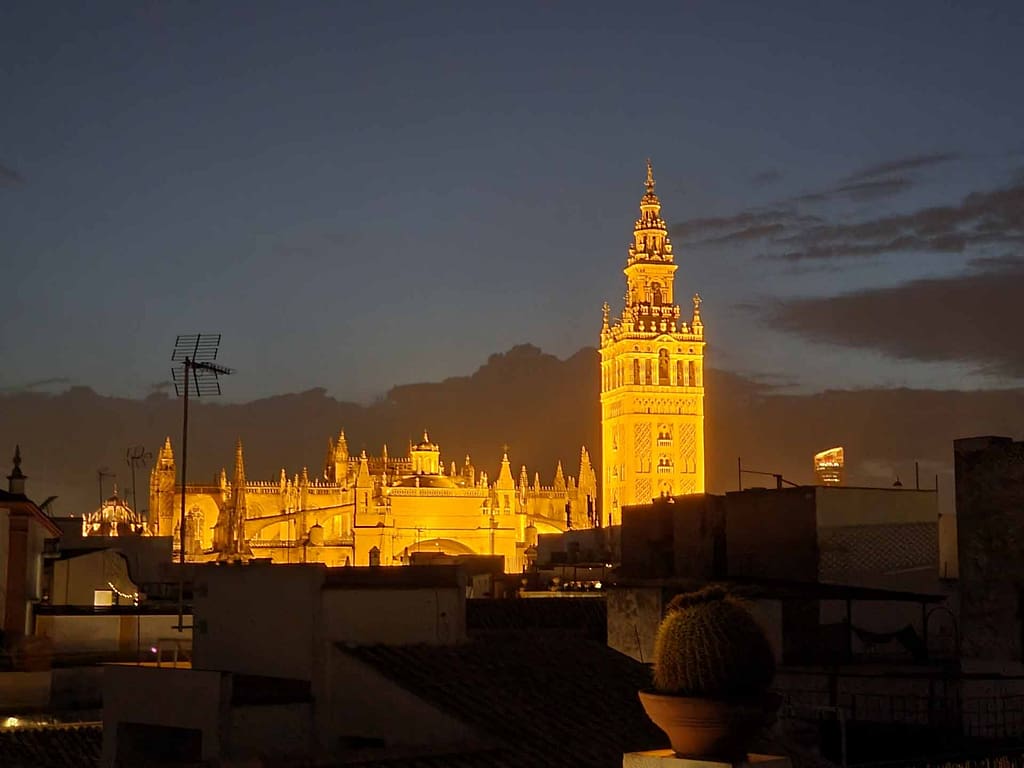 cathedral from rooftop