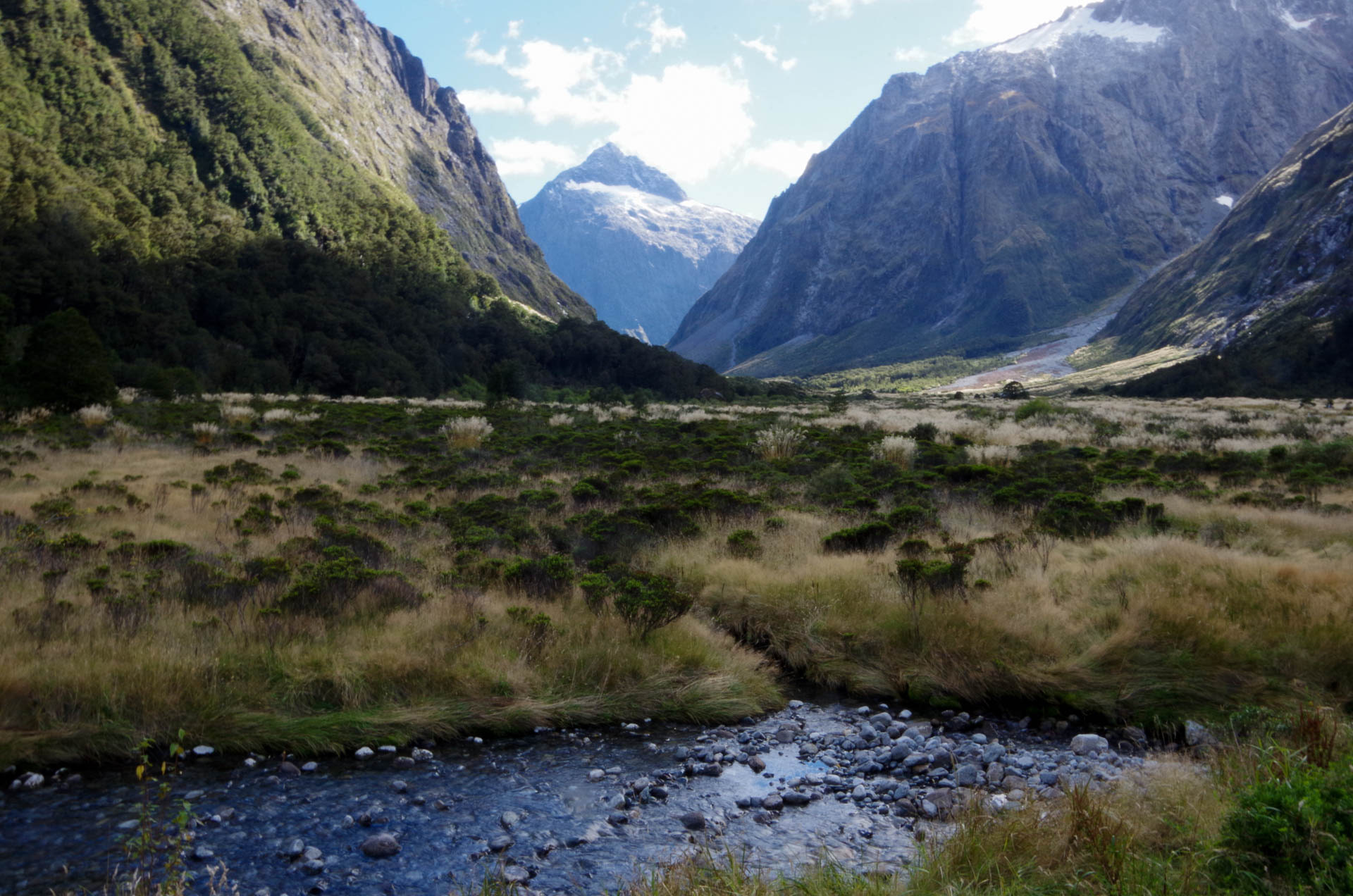 road to Milford Sound