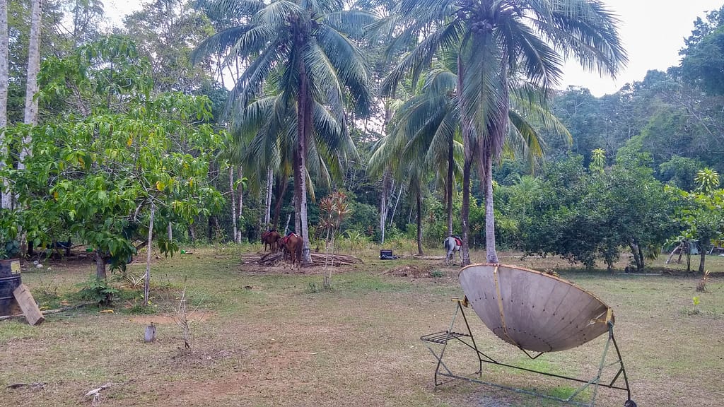 the farm