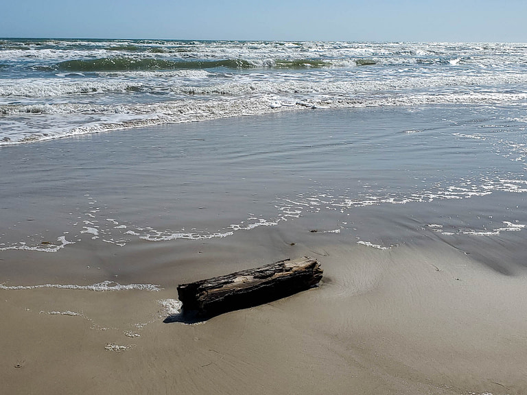 log in waves