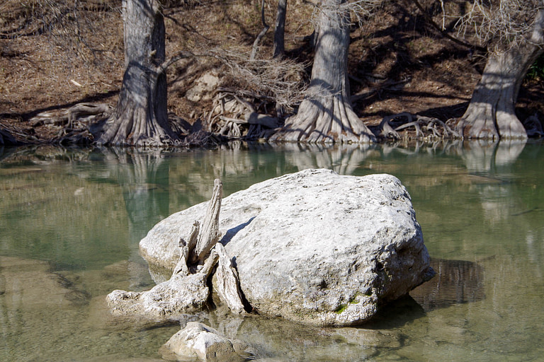 Guadaloupe River