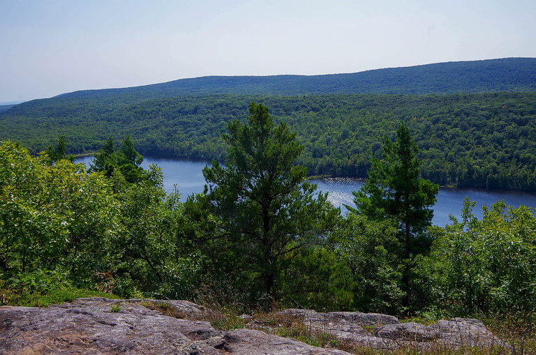 Escarpment trail view