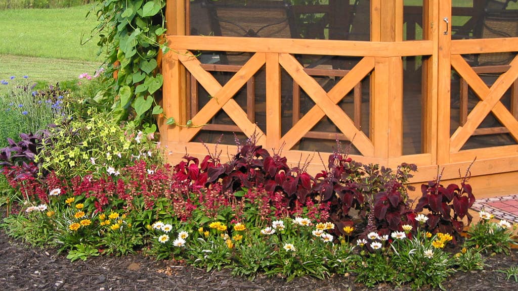 railing and flowers