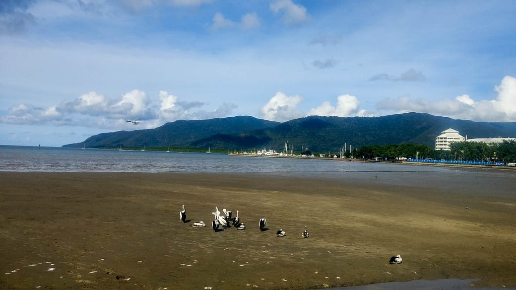 Cairns