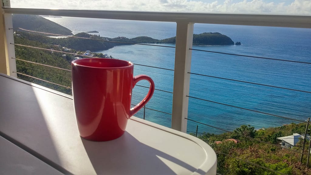 view with cup