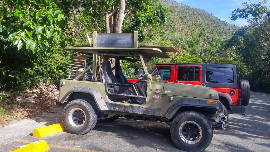 parrot in a Jeep