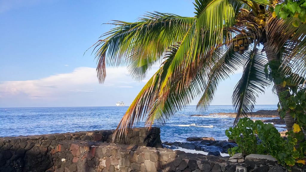 cruise ship off the coast with palm tree