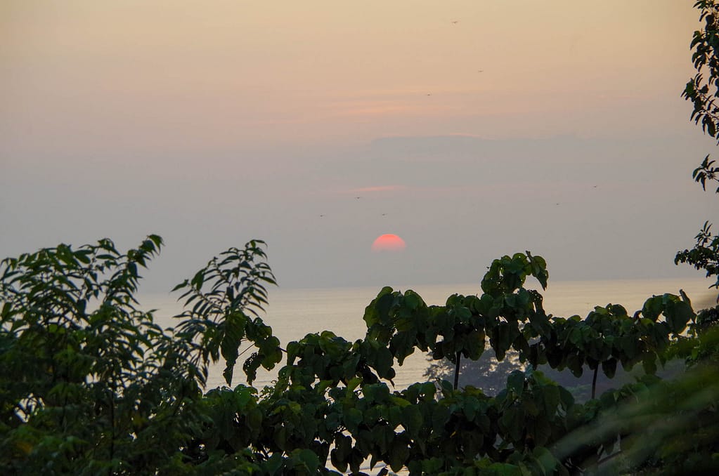 sunset