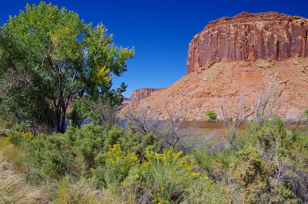 mesa with river