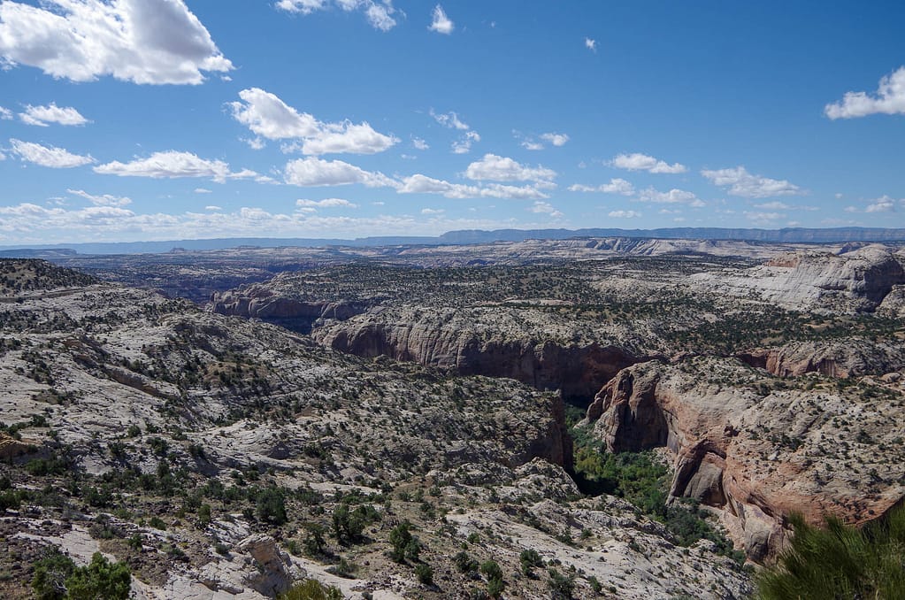 Box-Death Wilderness Area