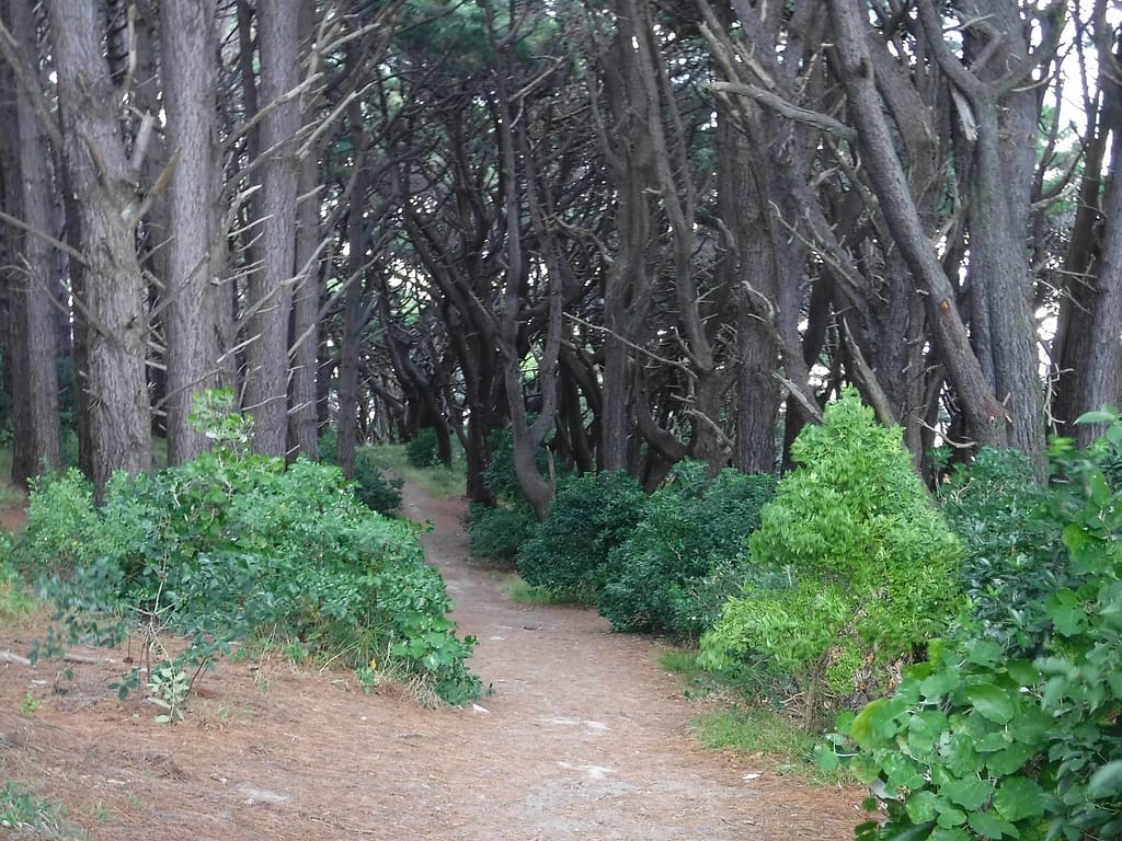 path