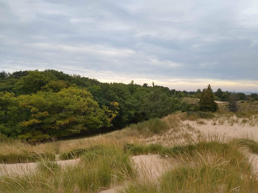 view over campground