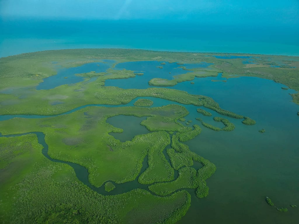 green land and blue water from the air