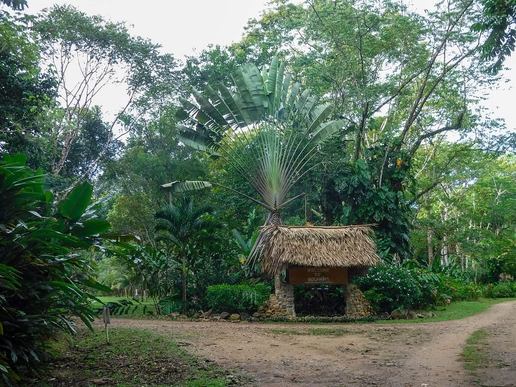 resort sign with plants