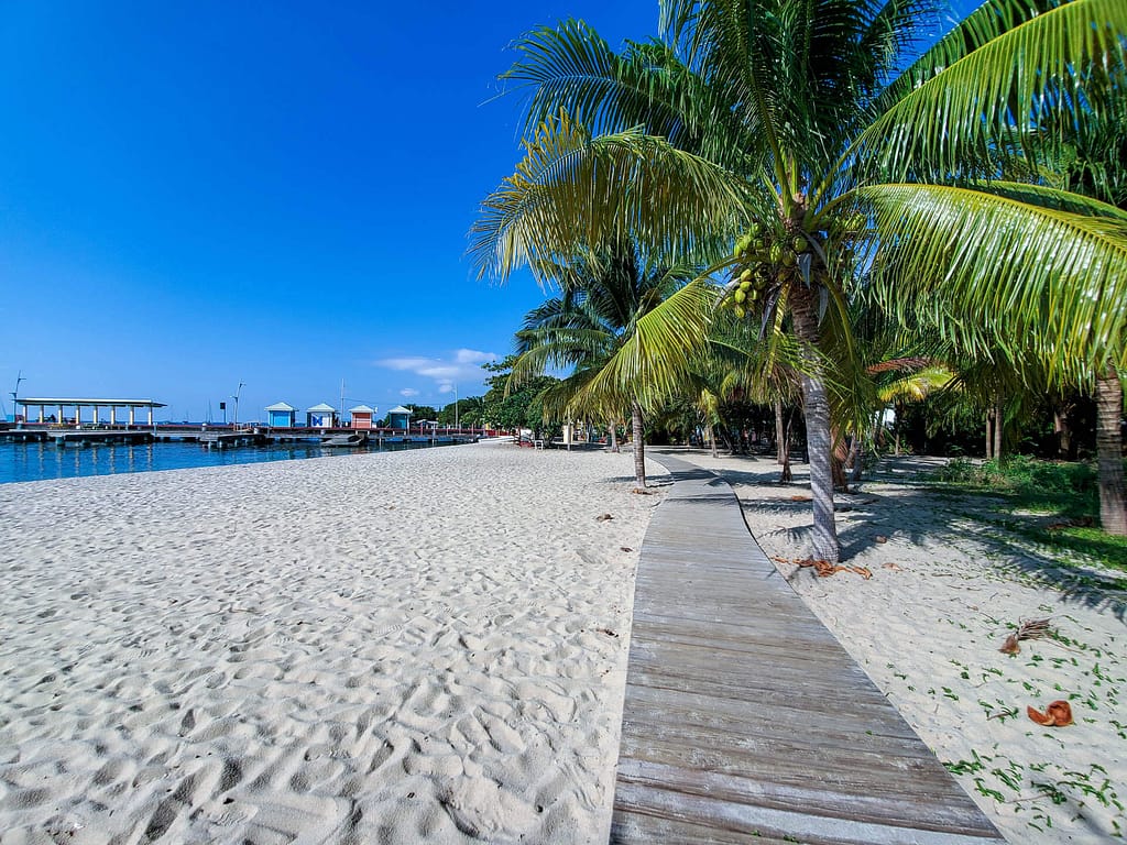 beach