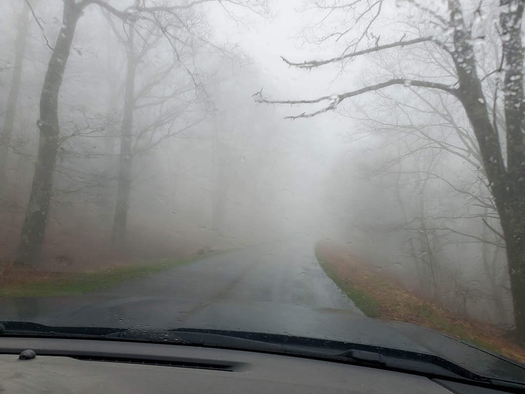 foggy road