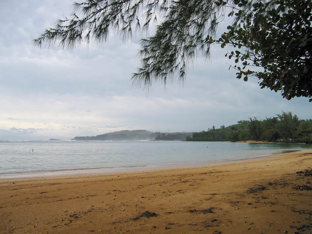 Anini Beach