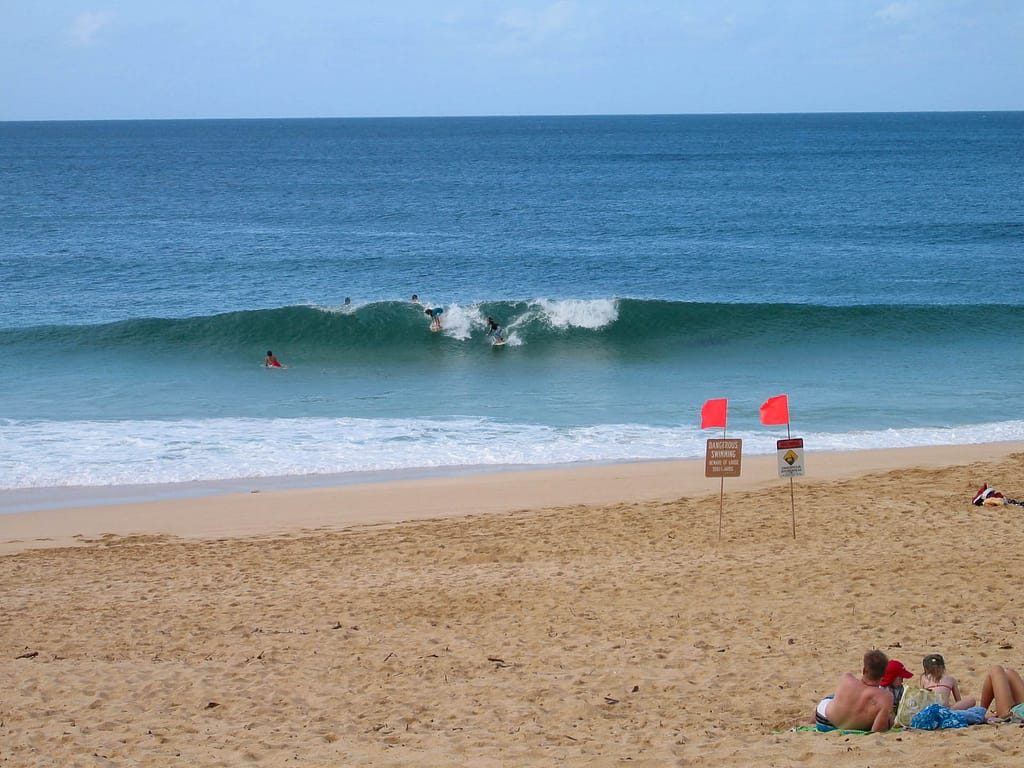 surfers